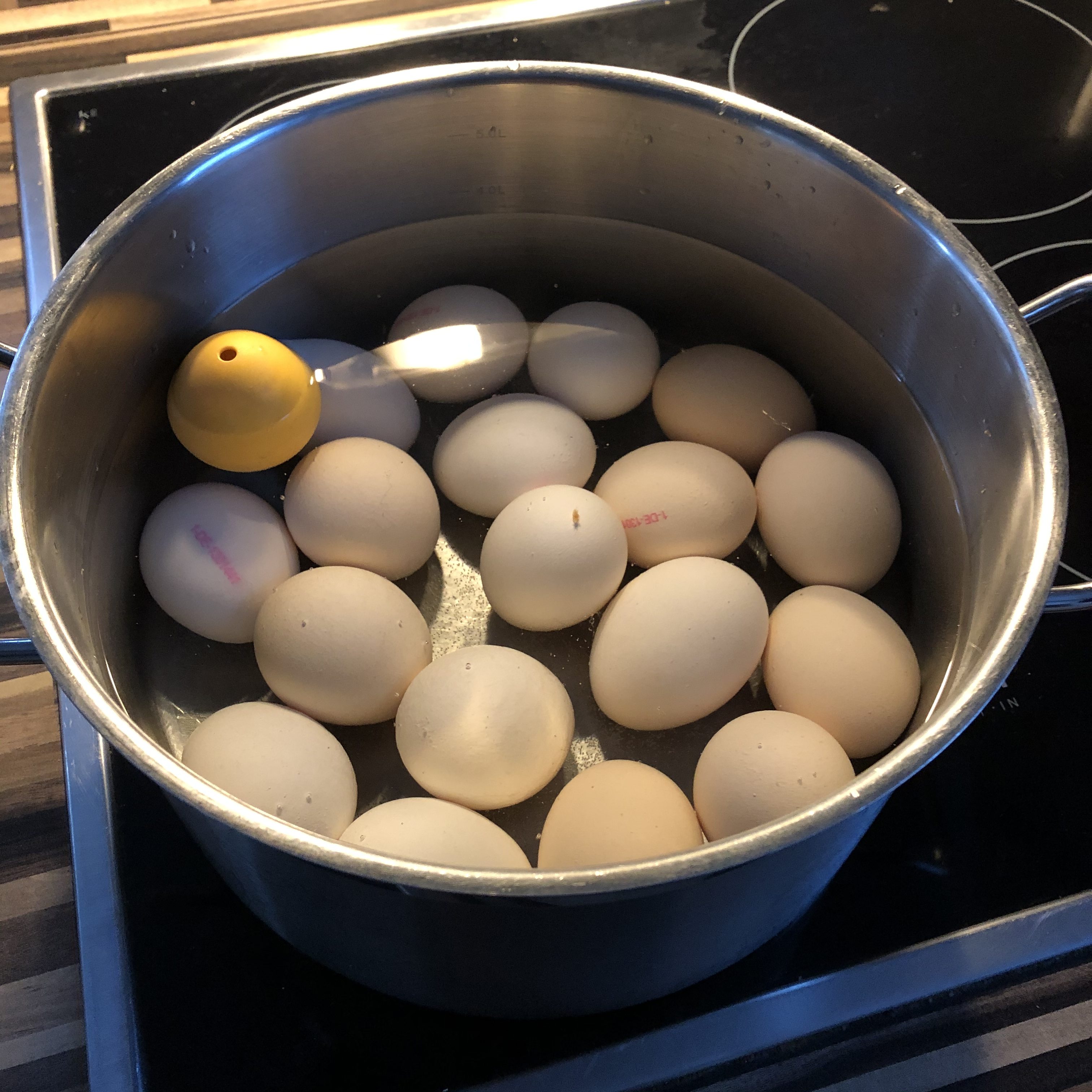 Eier in Topf